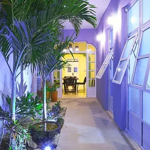 Casa Violeta Mexico